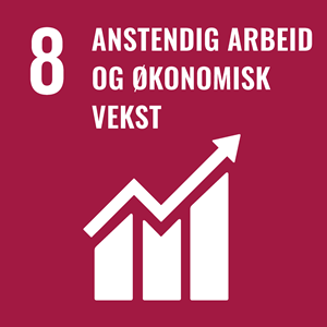 Anstendig arbeid og økonomisk vekst